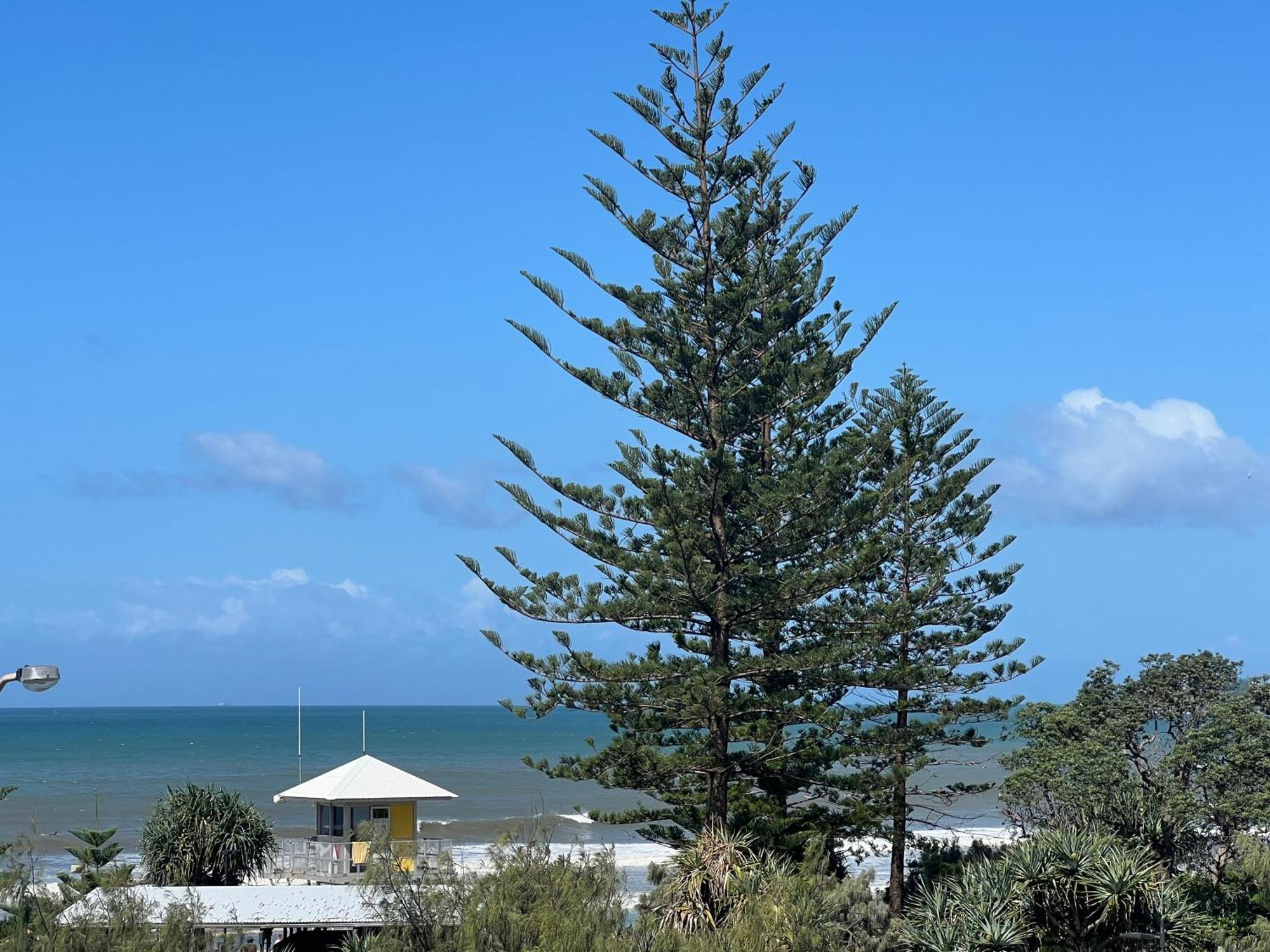 Ocean View - Alexandra Headlands Beachfront Unit Eksteriør bilde